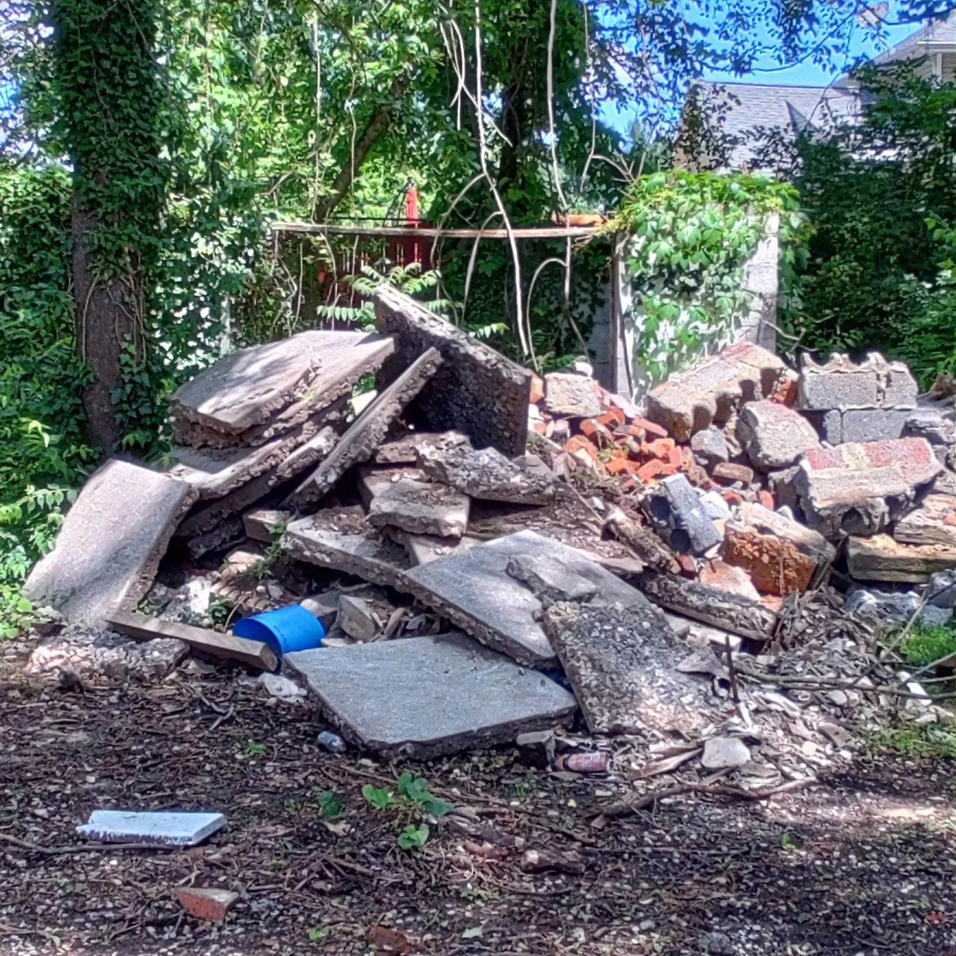 Junk Removal