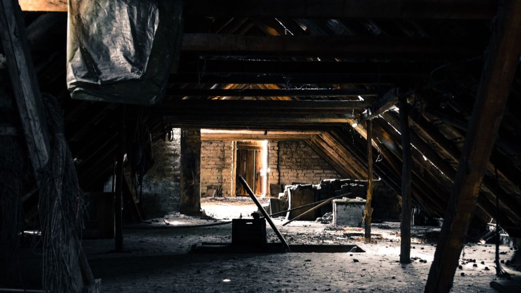 Attic Cleanouts