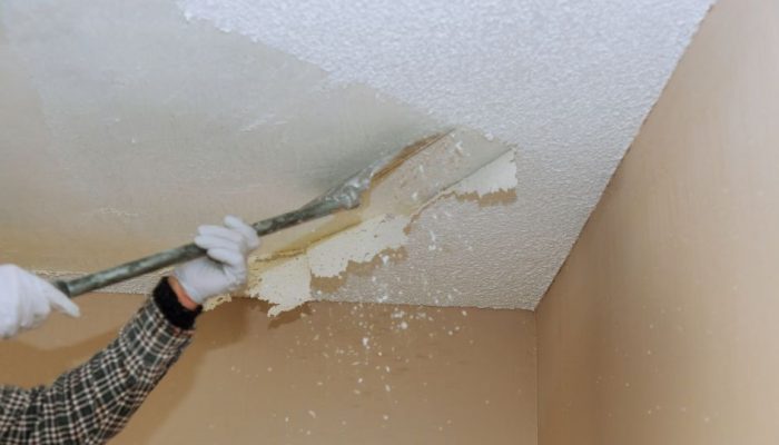 Drywall Removal