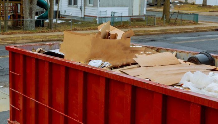 Dumpster Overflow Cleanup