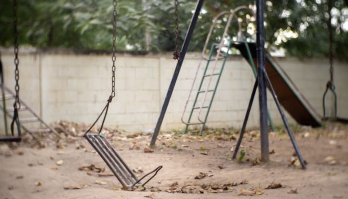 Playset & Swing Set Removal