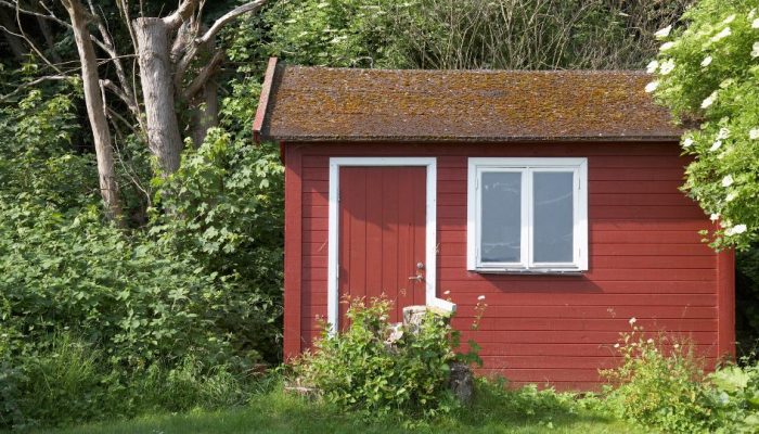 Shed Removal